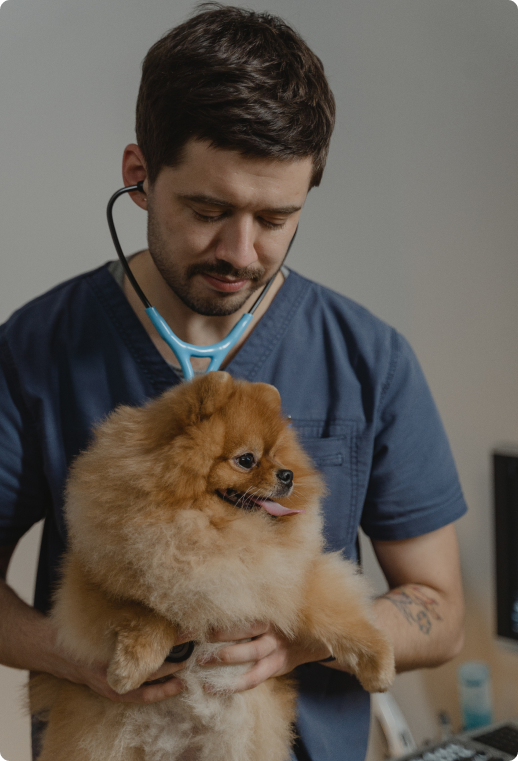 Ветеринарная аптека Vet-Dog для собак и кошек